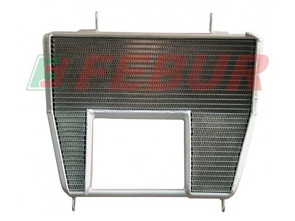 FEBUR Ducati Superbike 998RS (02/04) Complete Racing Water Radiator